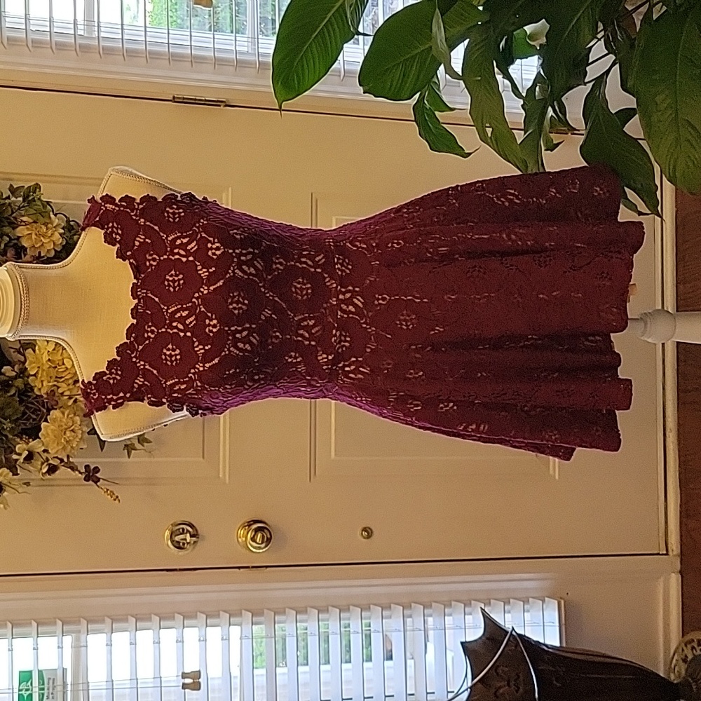 City Triangles wine lace sleeveless fit & flare mini dress Fully lined Sz 3 EUC…